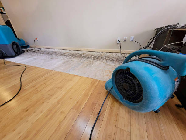 Professional Sewage Cleanup technician working in Bradyville, TN